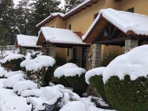 a house covered in snow with bushes at Aphrodite's Inn Kalavrita in Kalavrita