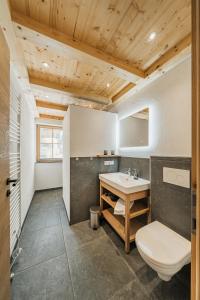 uma casa de banho com um WC e um lavatório em Dachstein West Apartment T5 em Russbach am Pass Gschütt