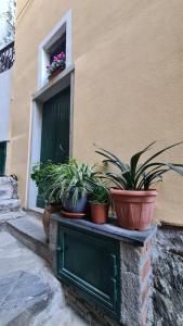 Fotografia z galérie ubytovania LA CASA DI IA v destinácii Vernazza