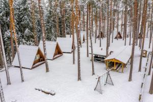 a group of lodges in the woods in the snow at Tartumaa Tervisespordikeskus in Uderna