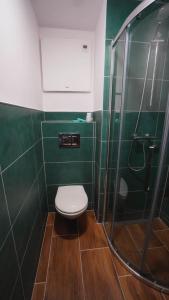 baño verde con aseo y ducha en WOKU Studio - apartament en Świebodzice