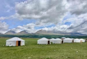 uma fila de tendas num campo com montanhas ao fundo em Doloon Uul em Turt