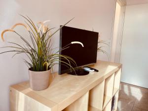 A television and/or entertainment centre at IL GABBIANO