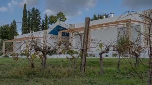 Iráklia的住宿－Atrium Vinea Brintziki Winery，建筑前方的一块田野上的木结构