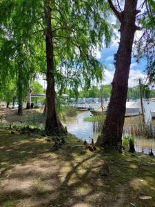 a group of trees next to a body of water at Paraiso Flotante in San Fernando +10 photos