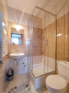 a bathroom with a shower and a toilet and a sink at Pokoje Gościnne Waluś in Murzasichle