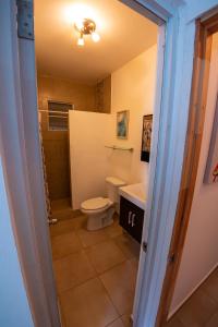 a bathroom with a toilet and a sink at Casa Verde Hotel in Rincon