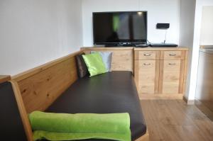 TV a/nebo společenská místnost v ubytování Apartment Lacklhof