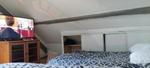 sypialnia z łóżkiem i telewizorem z płaskim ekranem w obiekcie Atypique Studio en Duplex w mieście Châlette-sur-Loing