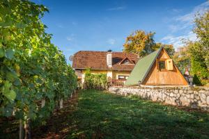 una casa en un viñedo con una pared de piedra en Vineyard cottage Hočevar, en Novo Mesto