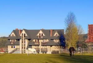 two horses grazing in front of a large house at Pokoje Gościnne Waluś in Murzasichle