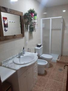 La salle de bains est pourvue d'un lavabo, de toilettes et d'une douche. dans l'établissement Descanso en Babia, à Torrebarrio