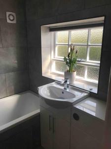 a bathroom with a sink and a window with a potted plant at Stylish 1st Floor flat Free Parking 2mins from Junction 48A1m in Boroughbridge