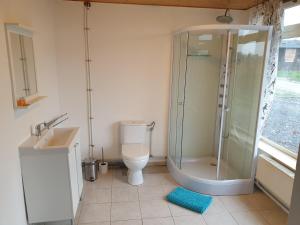 een badkamer met een douche, een toilet en een wastafel bij Wine & Pork Cottage - les Brûlins in Resteigne