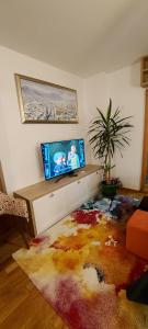a living room with a flat screen tv and a rug at Apartment Babin Do in Bjelašnica