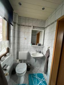 a bathroom with a toilet and a sink at Ferienwohnung am grünen Haus in Garz