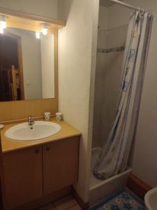 ein Bad mit einem Waschbecken und einer Dusche in der Unterkunft Boost Your Immo Les Deux Alpes Chalets d'or 792 in Les Deux Alpes