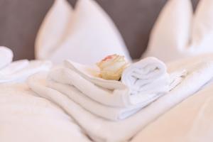 Fotografie z fotogalerie ubytování Hotel Tyrol v destinaci Valle Di Casies