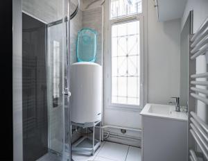 bagno con doccia, lavandino e specchio di Le Colombage-3 chambres- Hypercentre a Troyes