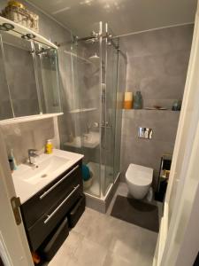 een badkamer met een douche, een wastafel en een toilet bij Stabu Terrace in Rīga