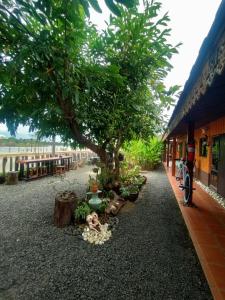 สวนหย่อมนอก Rim Than View Resort