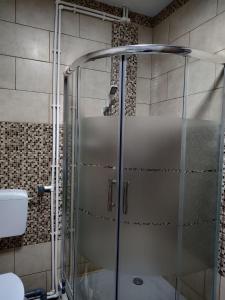 y baño con ducha y puerta de cristal. en ZEN SPOT Satic, en Sătic
