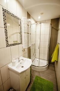 Koupelna v ubytování Apartamenty i Domki Biały Dunajec + 37 fotografií