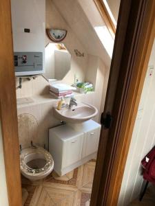 ein kleines Bad mit einem Waschbecken und einem WC in der Unterkunft Cozy Ferienapartment in Golßen nahe Tropical Island in Golßen