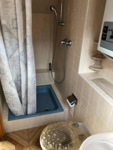 ein Bad mit einer Dusche, einem WC und einem Waschbecken in der Unterkunft Cozy Ferienapartment in Golßen nahe Tropical Island in Golßen