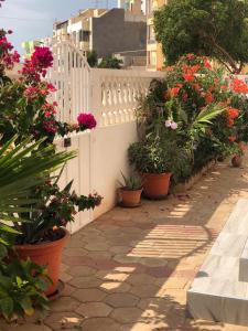 a garden with potted plants and a white fence at Apart Laginha in Mindelo