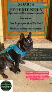 un petit chien portant une chemise bleue debout devant une porte dans l'établissement Pousada Alpes da Serra Campos do Jordão, à Campos do Jordão