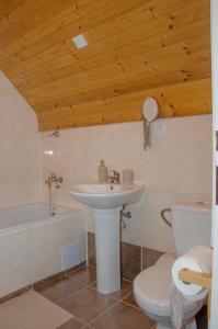 a bathroom with a sink and a toilet and a tub at Chata Soukenná in Dolní Moravice