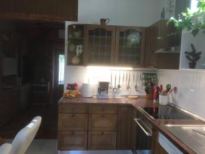 Kuchyň nebo kuchyňský kout v ubytování Holiday home Sandra