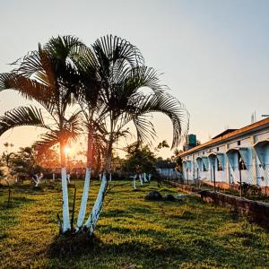 a palm tree in a field next to a building at The Green Garden Retreat, Dooars in Sukhani