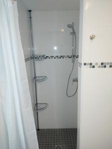 La salle de bains est pourvue d'une douche avec rideau de douche. dans l'établissement Ferien- Montagewohnung, à Zülpich