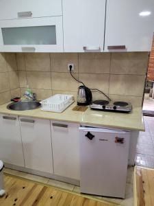 - une cuisine avec un plan de travail, un évier et une cuisinière dans l'établissement Apartmani Lotos, à Kaluđerske Bare
