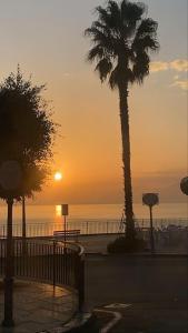 a palm tree in front of the ocean at sunset at Alloggio incantevole/ bedsitting-room in Altavilla Milicia