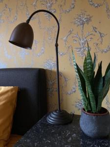 Imagen de la galería de Tree & B, en Brujas