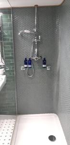 W łazience znajduje się prysznic, toaleta i umywalka. w obiekcie Ocean Mist Leith w Edynburgu