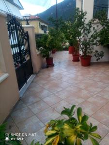 Gallery image of Delicatessen house in Leonidion