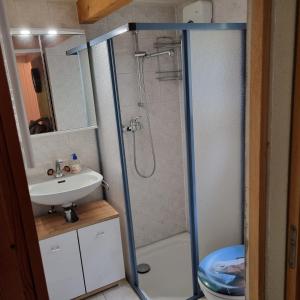 uma casa de banho com um chuveiro e um lavatório. em Le Passage em Salvan