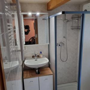 uma casa de banho com um lavatório e um chuveiro em Le Passage em Salvan