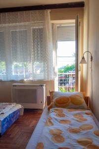 ハイドゥソボスローにあるPávai Apartmanのベッドルーム1室(窓の前にベッド2台付)