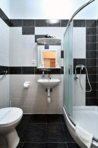 La salle de bains est pourvue d'un lavabo, de toilettes et d'un miroir. dans l'établissement Virtus Apartments and Rooms with Free Private Parking, à Zagreb