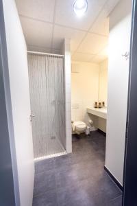 a bathroom with a shower with a toilet and a sink at Hotel Burgholz in Stepprath