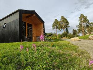a small wooden house in a field with flowers at Minihuset ved skogen in Isfjorden