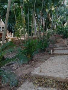 Taman di luar Casa Poco Loco - Villa at Luna Beach Roatan