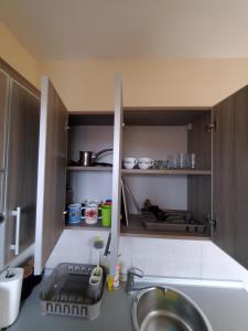 Kuchyň nebo kuchyňský kout v ubytování Royal Panorama Apartman & Free Garage Parking + 18 fotografií