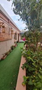 Zahrada ubytování Al Moltaqua Chalet
