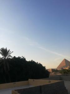 Blick auf eine Pyramide und eine Palme in der Unterkunft Ramses Guest House in Kairo